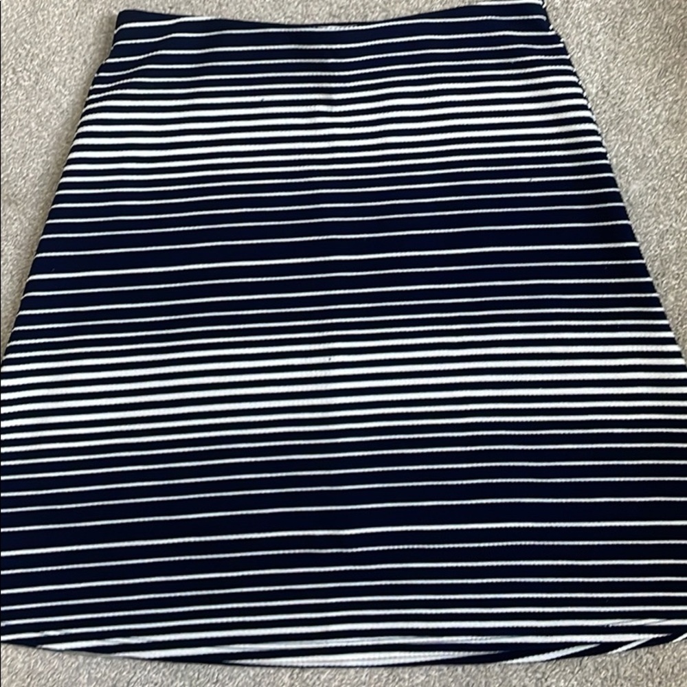 Margaret M Petites XS skirt